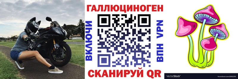 Купить  Ачинск  Галлюциногенные грибы MAGIC MUSHROOMS 